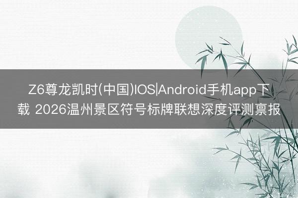 Z6尊龙凯时(中国)IOS|Android手机app下载 2026温州景区符号标牌联想深度评测禀报