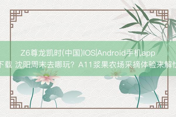 Z6尊龙凯时(中国)IOS|Android手机app下载 沈阳周末去哪玩？A11浆果农场采摘体验来解忧