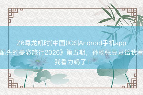 Z6尊龙凯时(中国)IOS|Android手机app下载 《配头的豪恣旅行2026》第五期，孙杨张豆豆给我看力竭了！