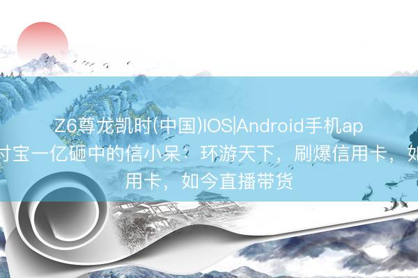 Z6尊龙凯时(中国)IOS|Android手机app下载 被支付宝一亿砸中的信小呆：环游天下，刷爆信用卡，如今直播带货