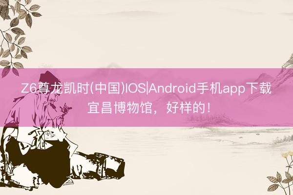 Z6尊龙凯时(中国)IOS|Android手机app下载 宜昌博物馆，好样的！