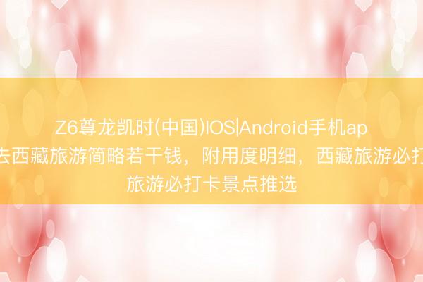 Z6尊龙凯时(中国)IOS|Android手机app下载 跟团去西藏旅游简略若干钱，附用度明细，西藏旅游必打卡景点推选