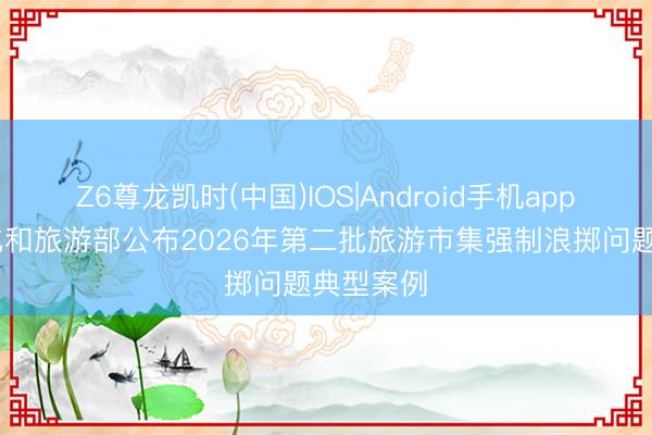 Z6尊龙凯时(中国)IOS|Android手机app下载 文化和旅游部公布2026年第二批旅游市集强制浪掷问题典型案例