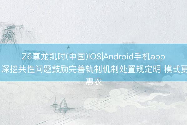 Z6尊龙凯时(中国)IOS|Android手机app下载 深挖共性问题鼓励完善轨制机制处置规定明 模式更惠农