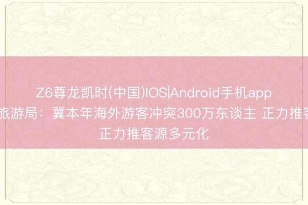Z6尊龙凯时(中国)IOS|Android手机app下载 澳门旅游局：冀本年海外游客冲突300万东谈主 正力推客源多元化