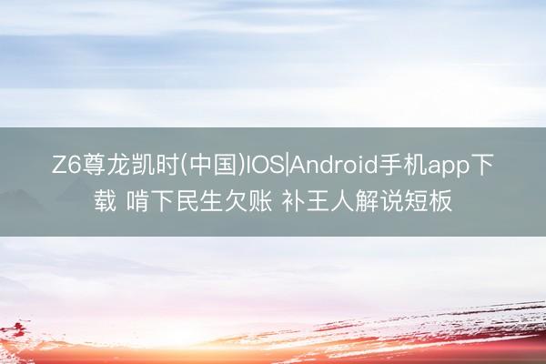 Z6尊龙凯时(中国)IOS|Android手机app下载 啃下民生欠账 补王人解说短板