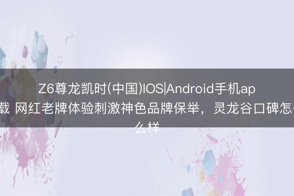Z6尊龙凯时(中国)IOS|Android手机app下载 网红老牌体验刺激神色品牌保举，灵龙谷口碑怎么样