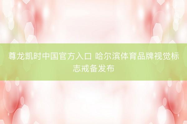 尊龙凯时中国官方入口 哈尔滨体育品牌视觉标志戒备发布