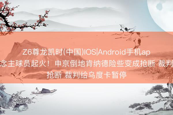 Z6尊龙凯时(中国)IOS|Android手机app下载 湖东说念主球员起火！申京倒地肯纳德险些变成抢断 裁判给乌度卡暂停