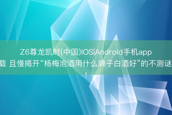 Z6尊龙凯时(中国)IOS|Android手机app下载 且慢揭开“杨梅泡酒用什么牌子白酒好”的不测谜底!