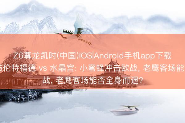 Z6尊龙凯时(中国)IOS|Android手机app下载 5月17日: 布伦特福德 vs 水晶宫: 小蜜蜂冲击欧战， 老鹰客场能否全身而退?