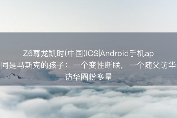 Z6尊龙凯时(中国)IOS|Android手机app下载 相同是马斯克的孩子：一个变性断联，一个随父访华圈粉多量