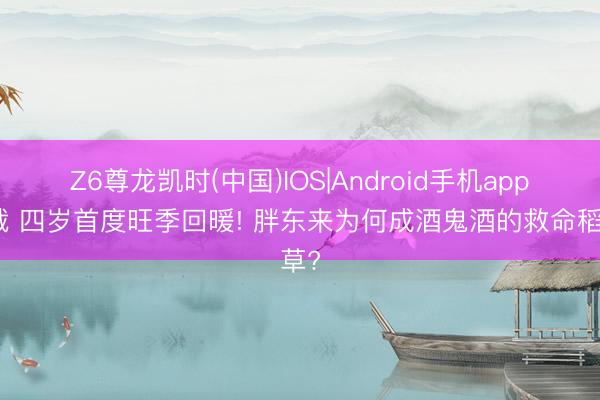 Z6尊龙凯时(中国)IOS|Android手机app下载 四岁首度旺季回暖! 胖东来为何成酒鬼酒的救命稻草?