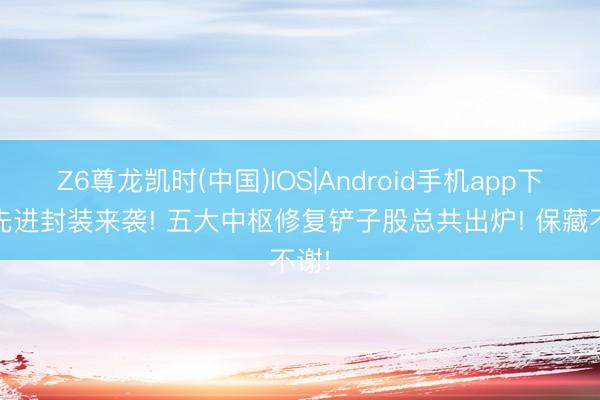 Z6尊龙凯时(中国)IOS|Android手机app下载 先进封装来袭! 五大中枢修复铲子股总共出炉! 保藏不谢!