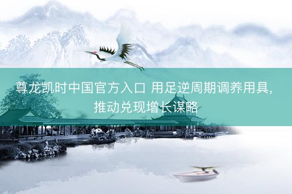 尊龙凯时中国官方入口 用足逆周期调养用具， 推动兑现增长谋略