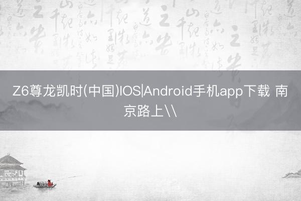 Z6尊龙凯时(中国)IOS|Android手机app下载 南京路上\