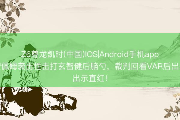 Z6尊龙凯时(中国)IOS|Android手机app下载 安佩姆袭击性击打玄智健后脑勺，裁判回看VAR后出示直红！