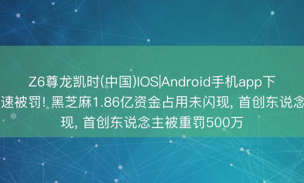 Z6尊龙凯时(中国)IOS|Android手机app下载 立案1个月火速被罚! 黑芝麻1.86亿资金占用未闪现， 首创东说念主被重罚500万