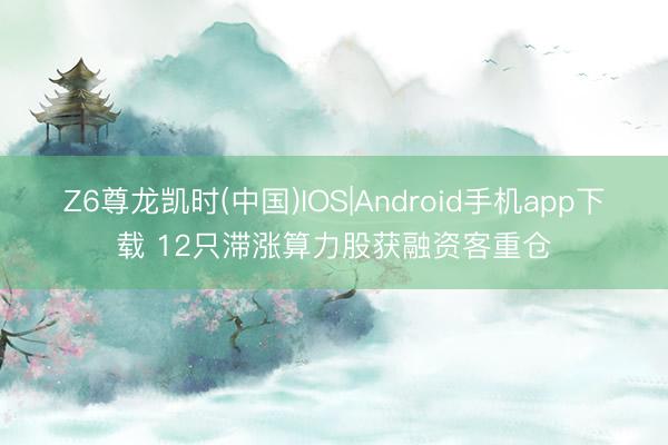 Z6尊龙凯时(中国)IOS|Android手机app下载 12只滞涨算力股获融资客重仓