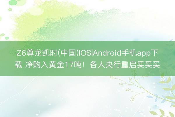 Z6尊龙凯时(中国)IOS|Android手机app下载 净购入黄金17吨！各人央行重启买买买