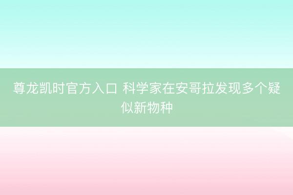 尊龙凯时官方入口 科学家在安哥拉发现多个疑似新物种