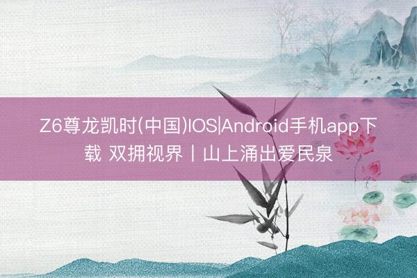 Z6尊龙凯时(中国)IOS|Android手机app下载 双拥视界丨山上涌出爱民泉