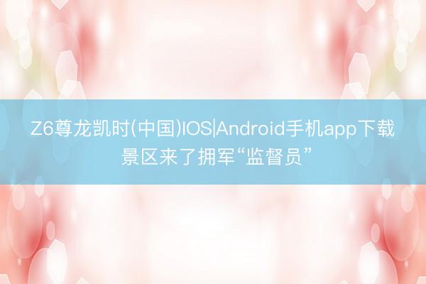 Z6尊龙凯时(中国)IOS|Android手机app下载 景区来了拥军“监督员”