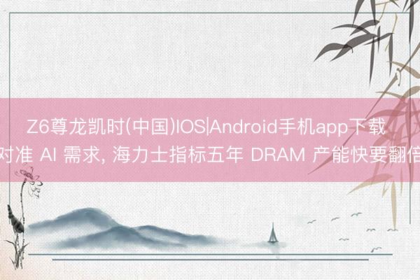 Z6尊龙凯时(中国)IOS|Android手机app下载 对准 AI 需求， 海力士指标五年 DRAM 产能快要翻倍
