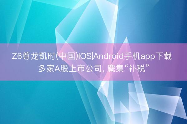 Z6尊龙凯时(中国)IOS|Android手机app下载 多家A股上市公司， 麇集“补税”