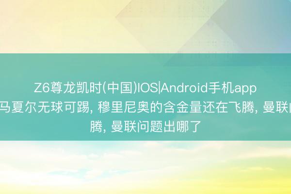 Z6尊龙凯时(中国)IOS|Android手机app下载 30岁马夏尔无球可踢， 穆里尼奥的含金量还在飞腾， 曼联问题出哪了