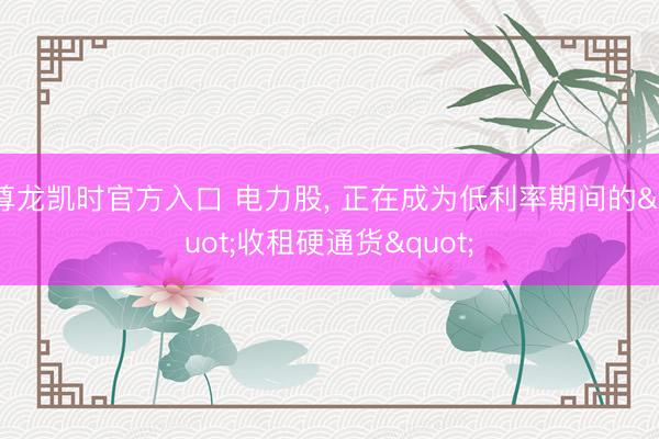 尊龙凯时官方入口 电力股, 正在成为低利率期间的"收租硬通货"