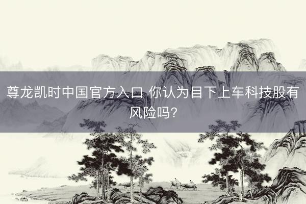 尊龙凯时中国官方入口 你认为目下上车科技股有风险吗?