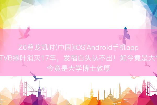 Z6尊龙凯时(中国)IOS|Android手机app下载 56岁TVB绿叶消灭17年，发福白头认不出！如今竟是大学博士敦厚
