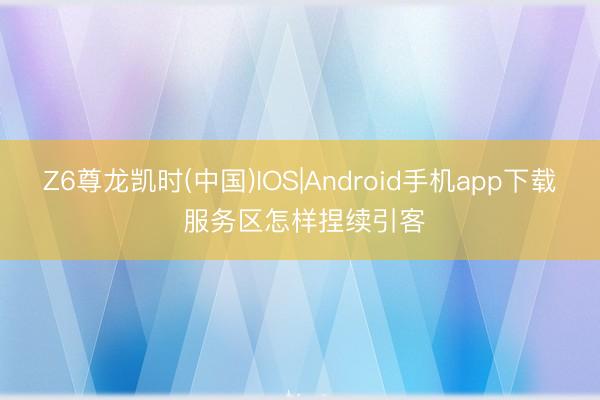 Z6尊龙凯时(中国)IOS|Android手机app下载 服务区怎样捏续引客
