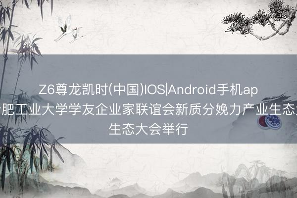 Z6尊龙凯时(中国)IOS|Android手机app下载 合肥工业大学学友企业家联谊会新质分娩力产业生态大会举行