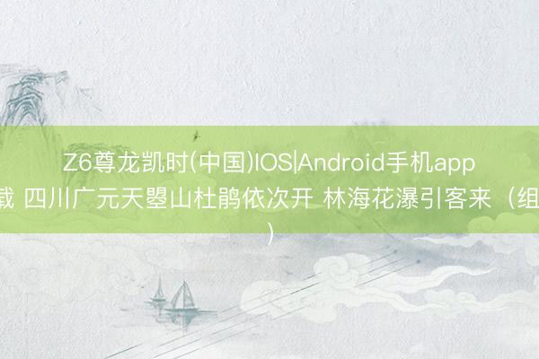 Z6尊龙凯时(中国)IOS|Android手机app下载 四川广元天曌山杜鹃依次开 林海花瀑引客来(组图)