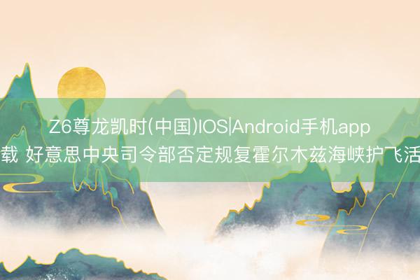 Z6尊龙凯时(中国)IOS|Android手机app下载 好意思中央司令部否定规复霍尔木兹海峡护飞活动