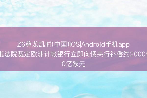 Z6尊龙凯时(中国)IOS|Android手机app下载 俄法院裁定欧洲计帐银行立即向俄央行补偿约2000亿欧元