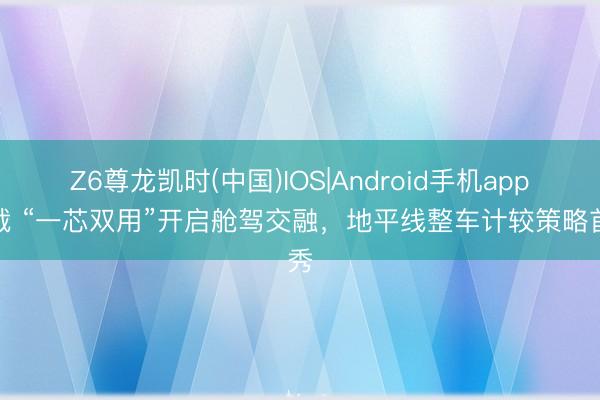 Z6尊龙凯时(中国)IOS|Android手机app下载 “一芯双用”开启舱驾交融,地平线整车计较策略首秀