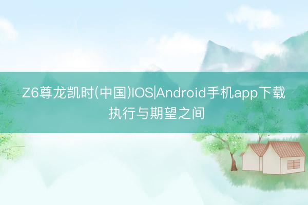 Z6尊龙凯时(中国)IOS|Android手机app下载 执行与期望之间