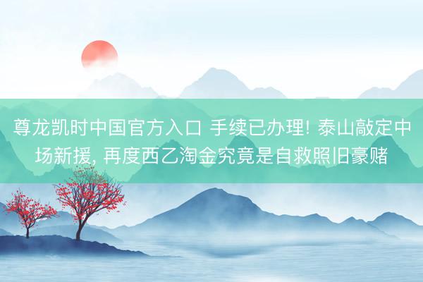 尊龙凯时中国官方入口 手续已办理! 泰山敲定中场新援， 再度西乙淘金究竟是自救照旧豪赌
