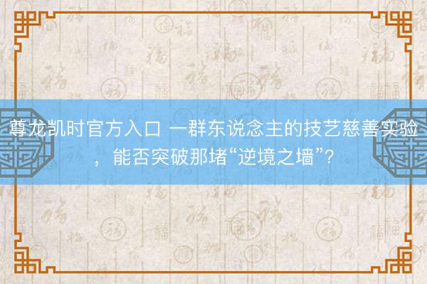 尊龙凯时官方入口 一群东说念主的技艺慈善实验，能否突破那堵“逆境之墙”？
