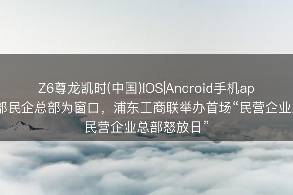 Z6尊龙凯时(中国)IOS|Android手机app下载 以头部民企总部为窗口，浦东工商联举办首场“民营企业总部怒放日”